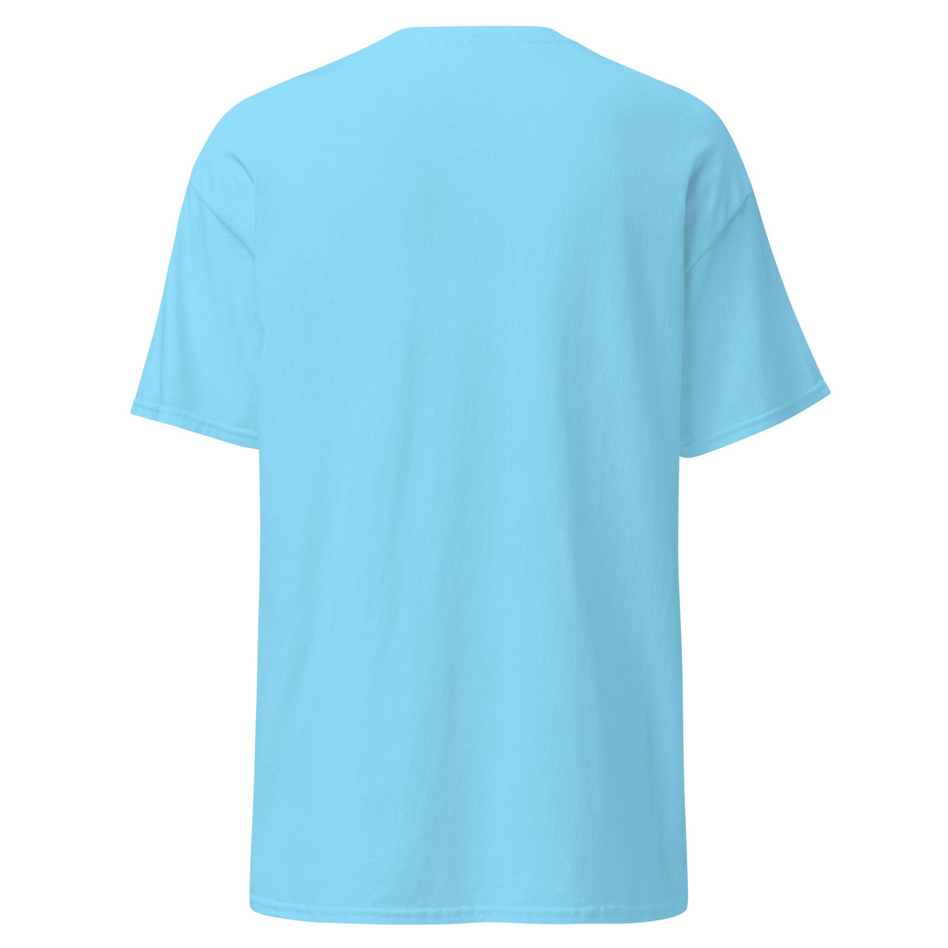 Back view of plain light blue classic short-sleeve tee, pure casual