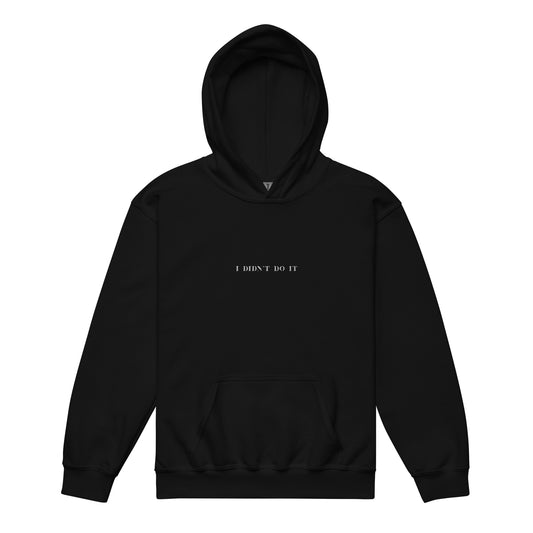 Front view of black youth hoodie with "I DIDN’T DO IT" embroidery, hood up and pouch pocket ready for mischief